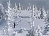 Xctry Ski